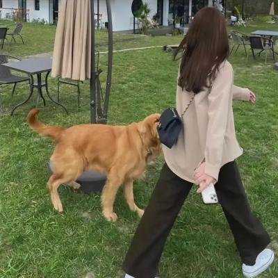 曾克林出关